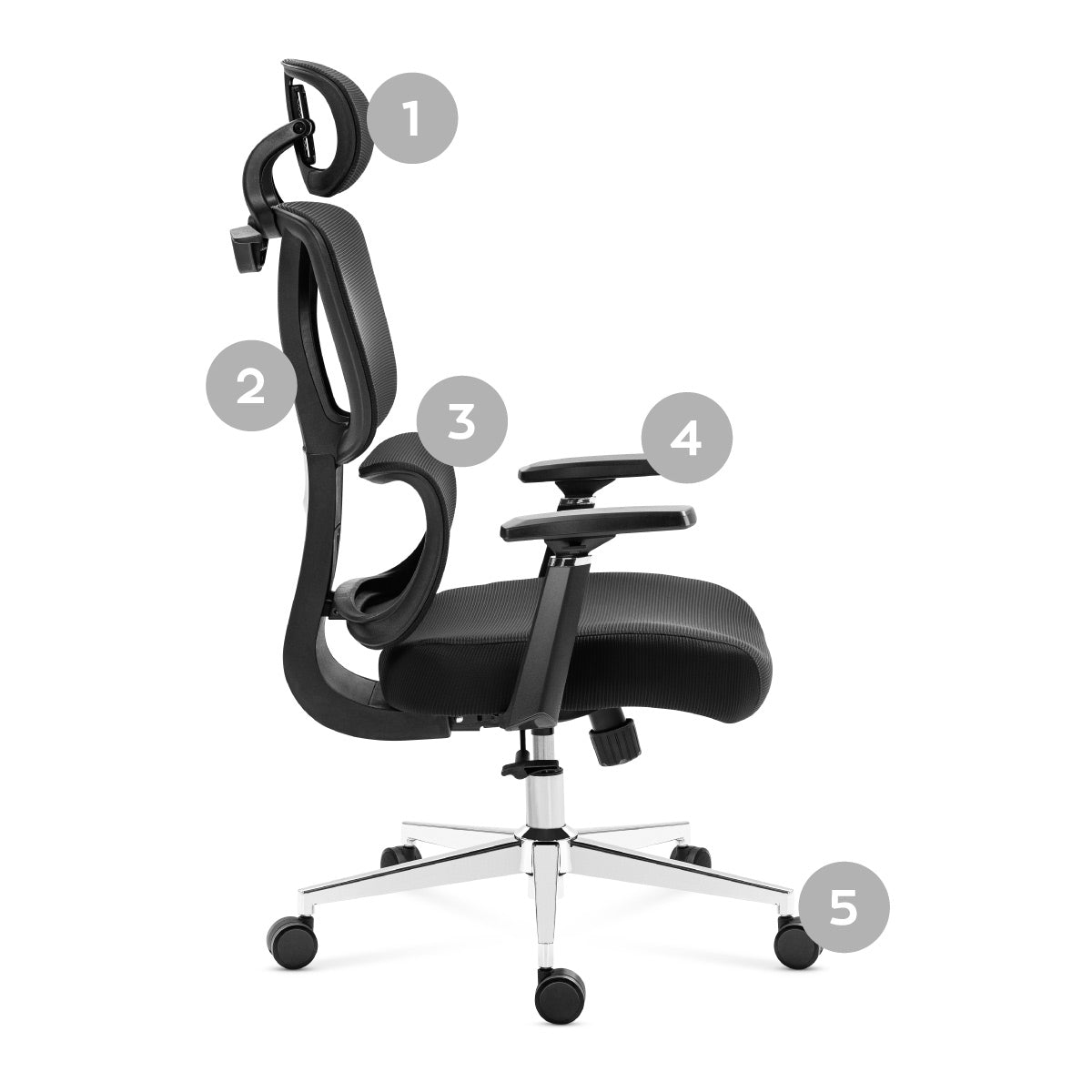 1. Verstelbare hoofdsteun