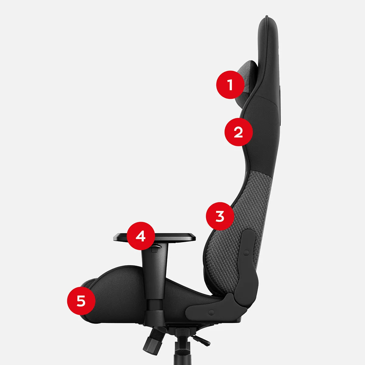 1. Hoofd en nek